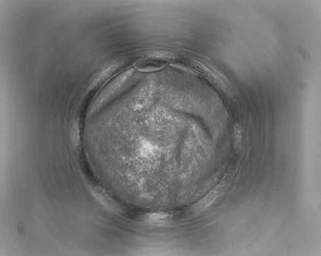 X0000115150158200911171248