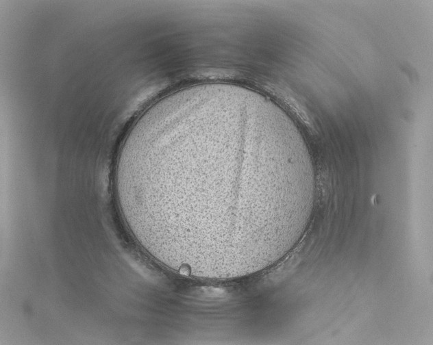 X0000115150159200911171248