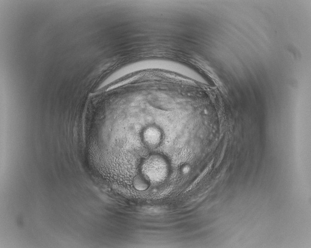 X0000115150161200911171248