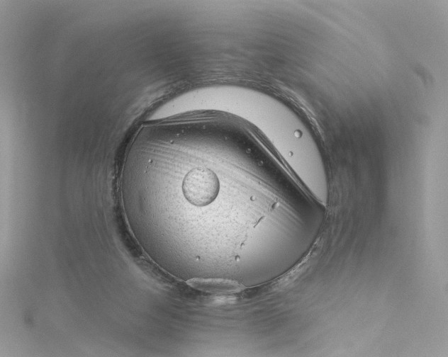 X0000115150162200911171248