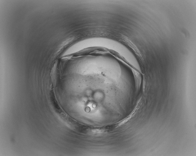 X0000115150163200911171248