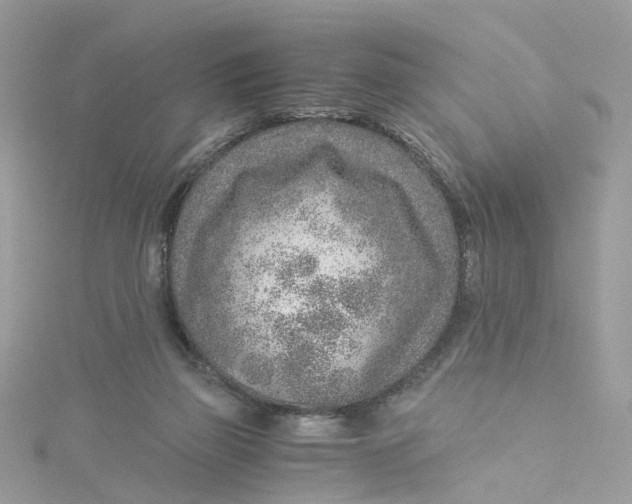 X0000115150165200911171248