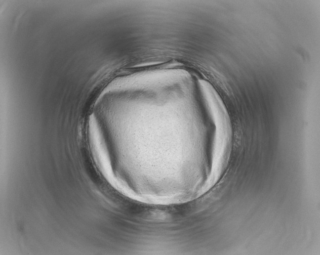 X0000115150166200911171248