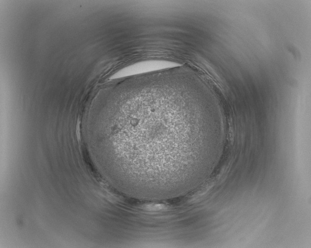 X0000115150169200911171248