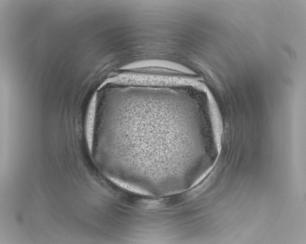 X0000115150170200911171248