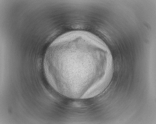 X0000115150171200911171248