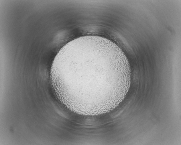 X0000115150173200911171248