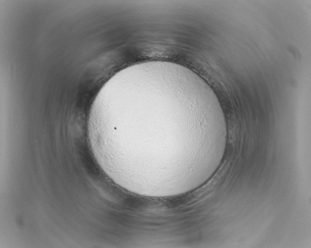 X0000115150175200911171248