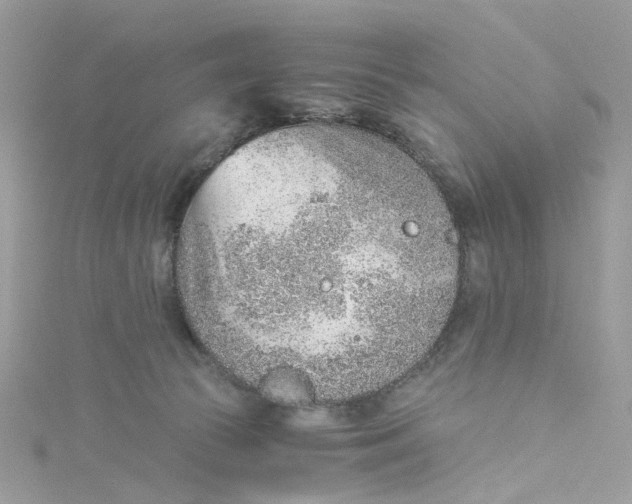 X0000115150177200911171248