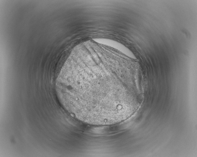 X0000115150178200911171248