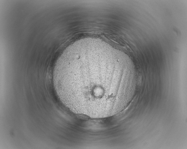 X0000115150179200911171248