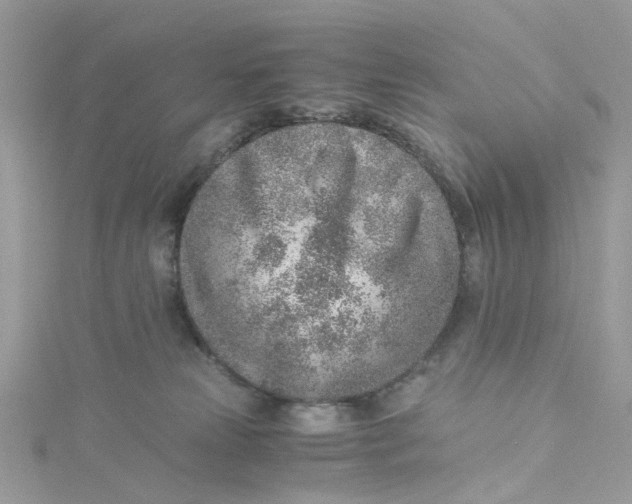 X0000115150181200911171248