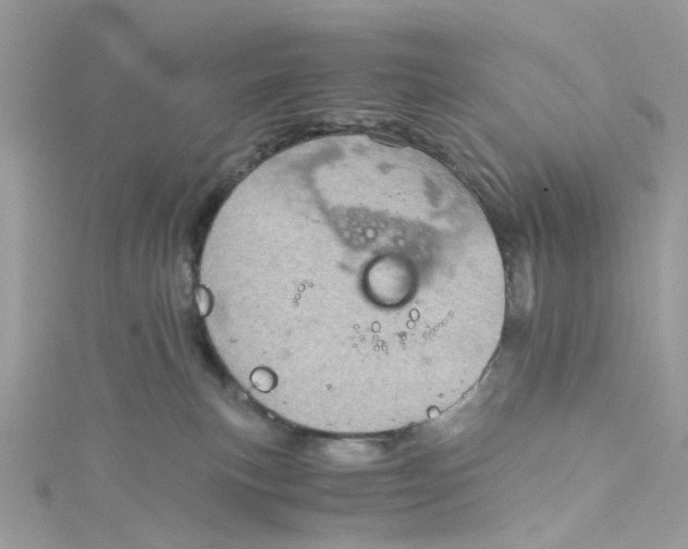 X0000115150183200911171248