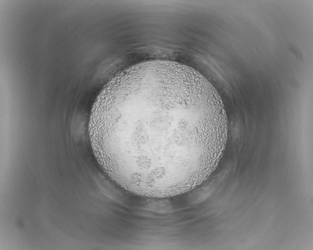 X0000115150185200911171248