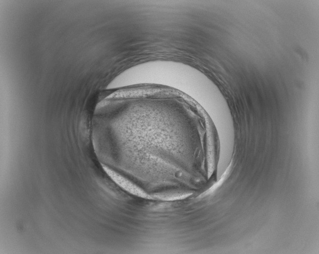 X0000115150186200911171248