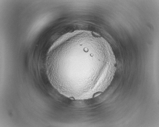 X0000115150189200911171248