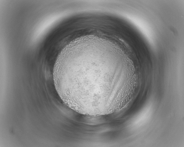 X0000115150191200911171248