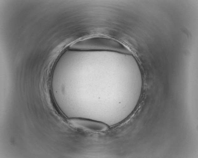 X0000115150193200911171247