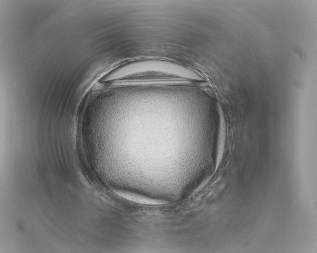 X0000115150194200911171247