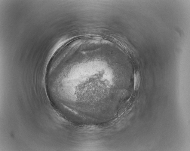 X0000115150195200911171247