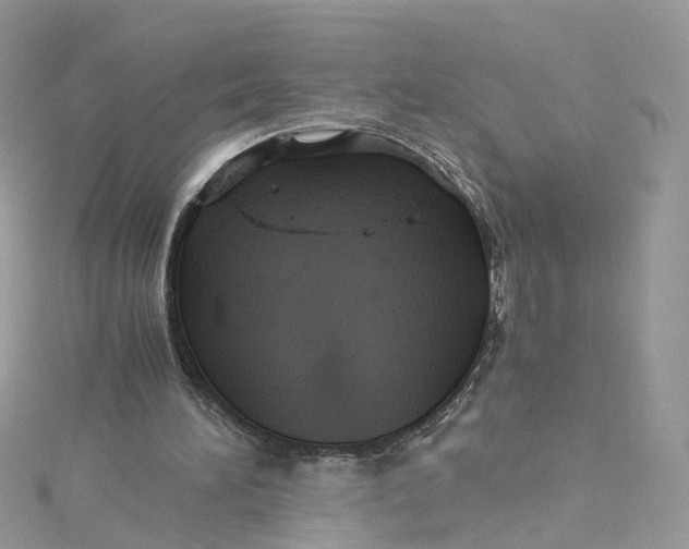 X0000115150196200911171247