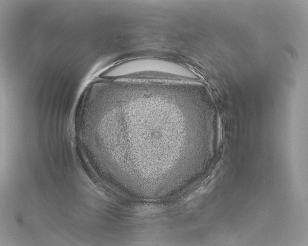 X0000115150198200911171247