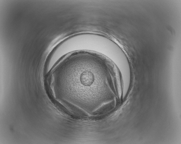 X0000115150199200911171247