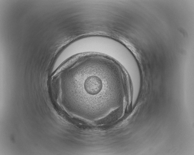 X0000115150201200911171247