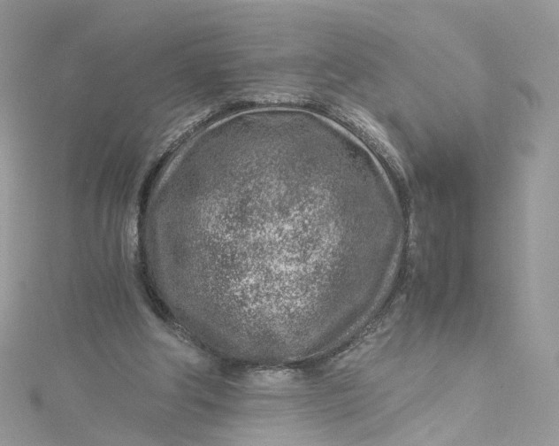 X0000115150202200911171247