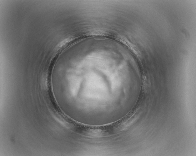 X0000115150203200911171247