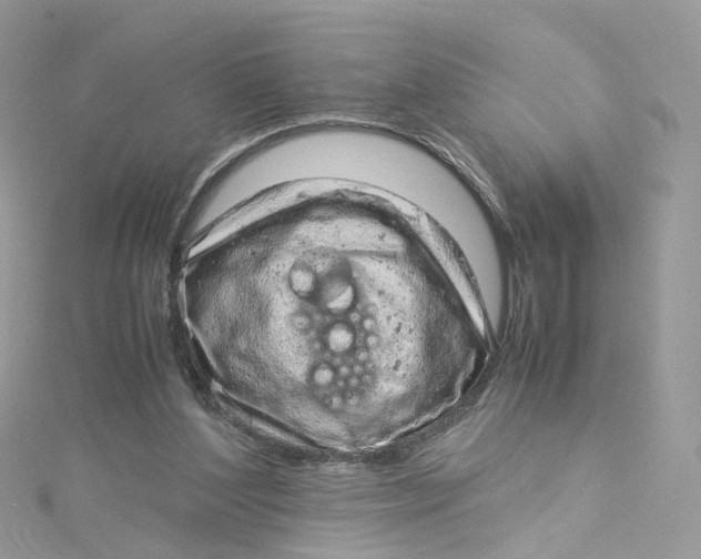 X0000115150204200911171247