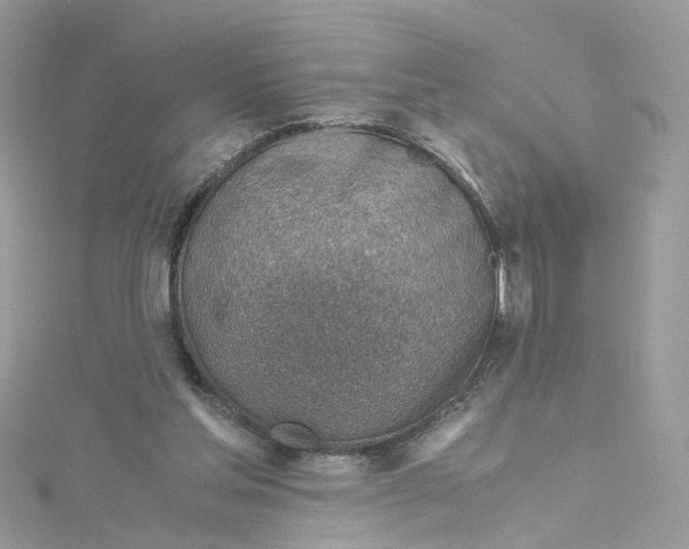 X0000115150205200911171247