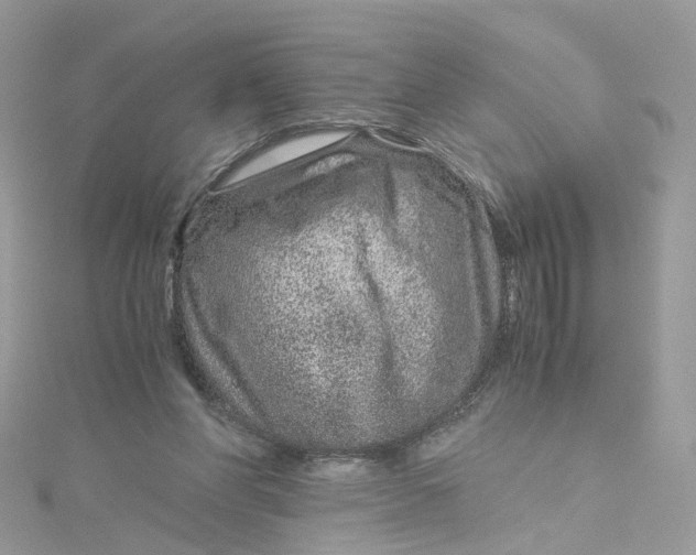 X0000115150206200911171247