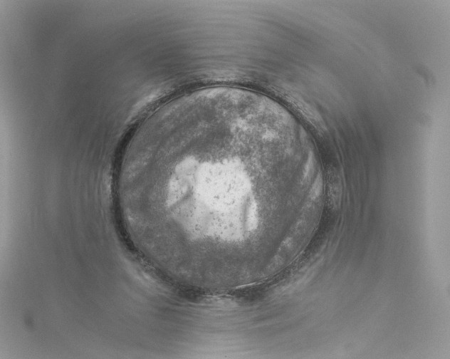 X0000115150207200911171247