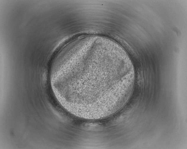 X0000115150208200911171247