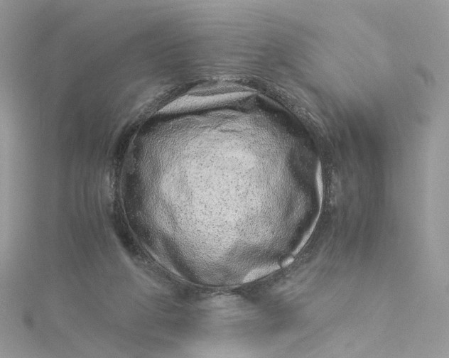 X0000115150210200911171247