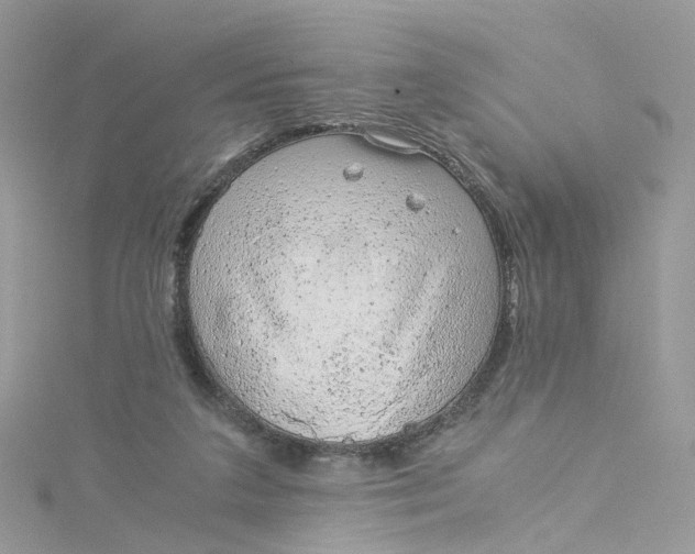 X0000115150211200911171247