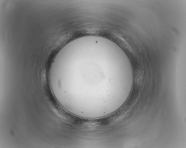 X0000115150213200911171247