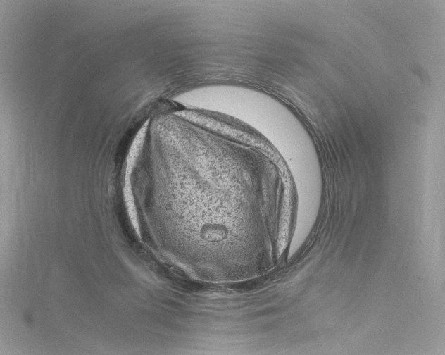 X0000115150215200911171247