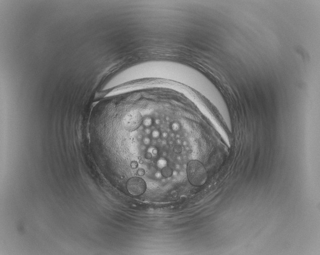 X0000115150216200911171247