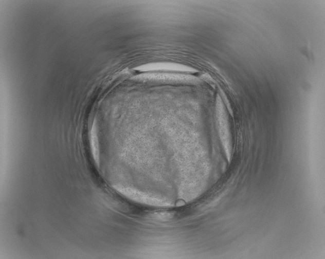 X0000115150217200911171247