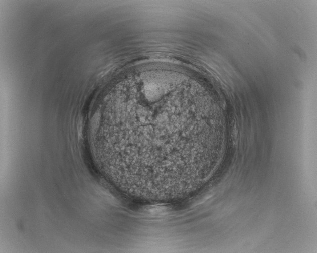 X0000115150219200911171247