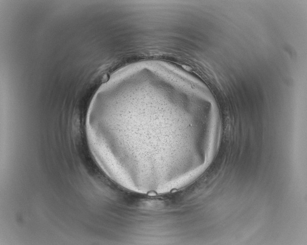 X0000115150220200911171247