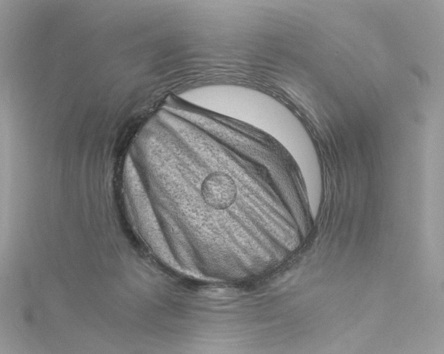 X0000115150221200911171247