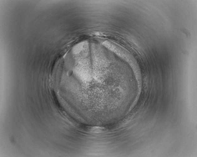 X0000115150222200911171247