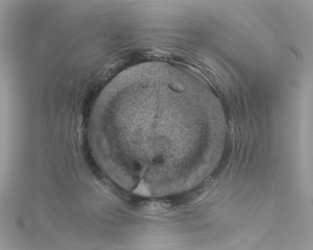 X0000115150223200911171247