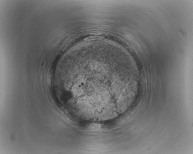 X0000115150227200911171247