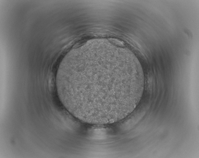 X0000115150228200911171247