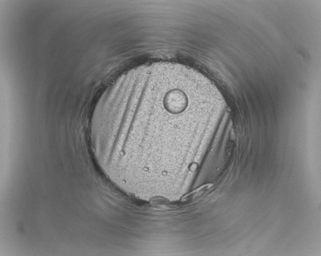 X0000115150229200911171247