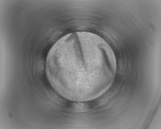 X0000115150230200911171247